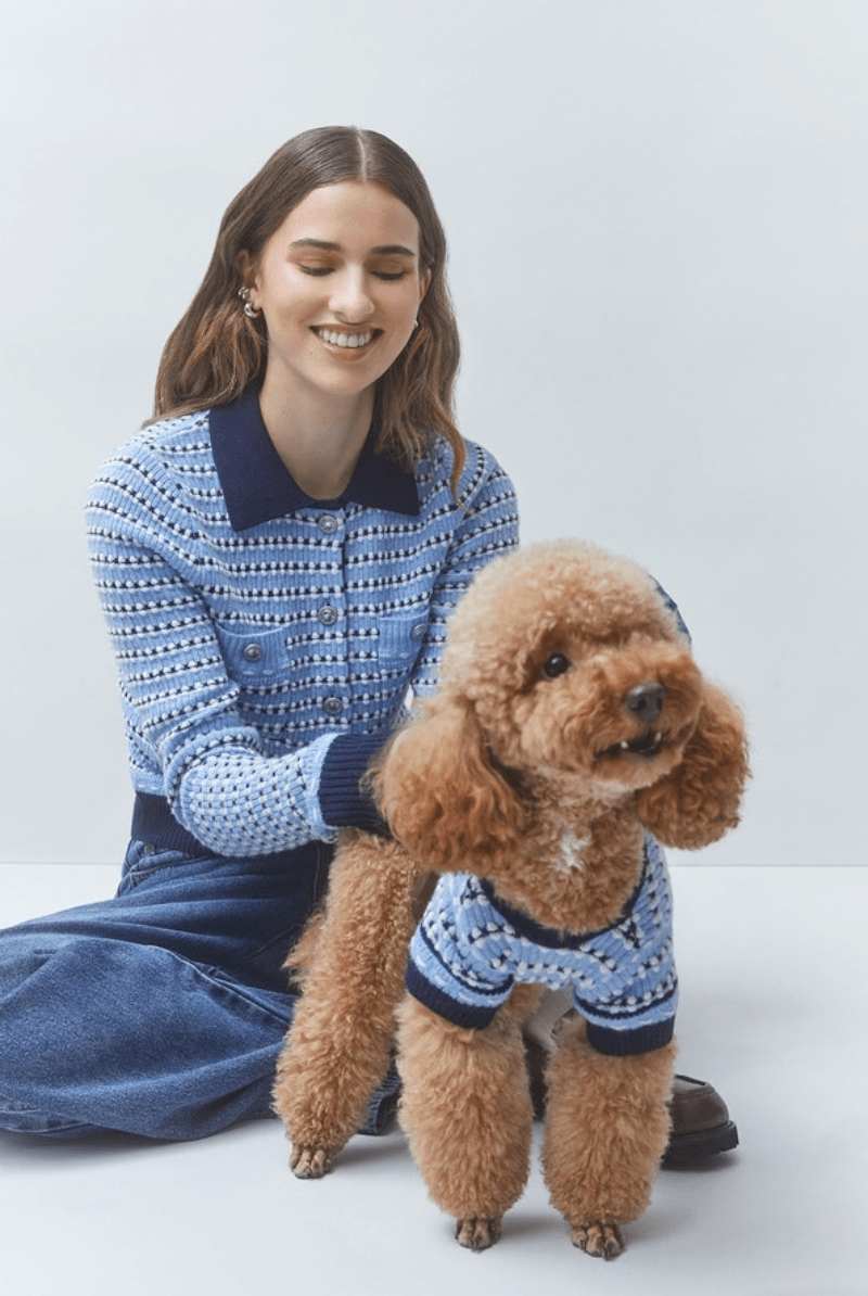 Dog - Suncoo Paris - Arty Dog Jumper - Archery Close