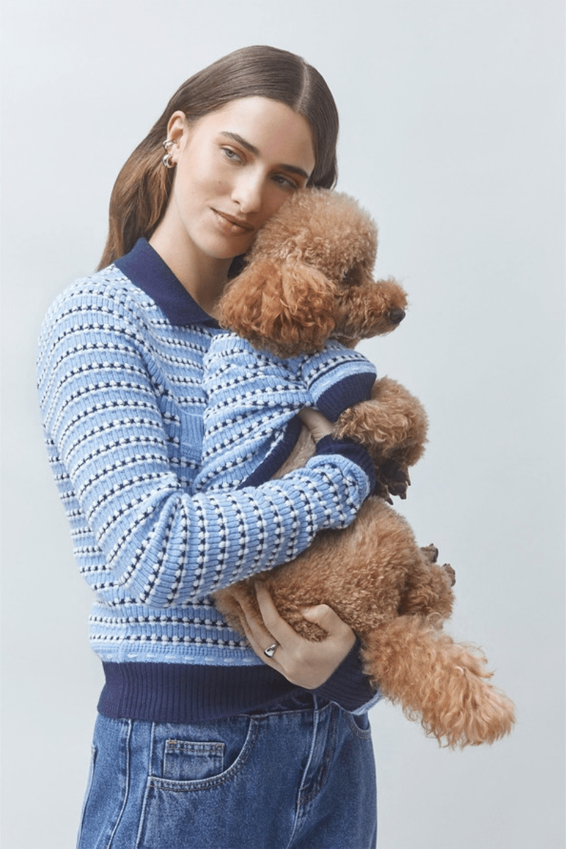 Dog - Suncoo Paris - Arty Dog Jumper - Archery Close