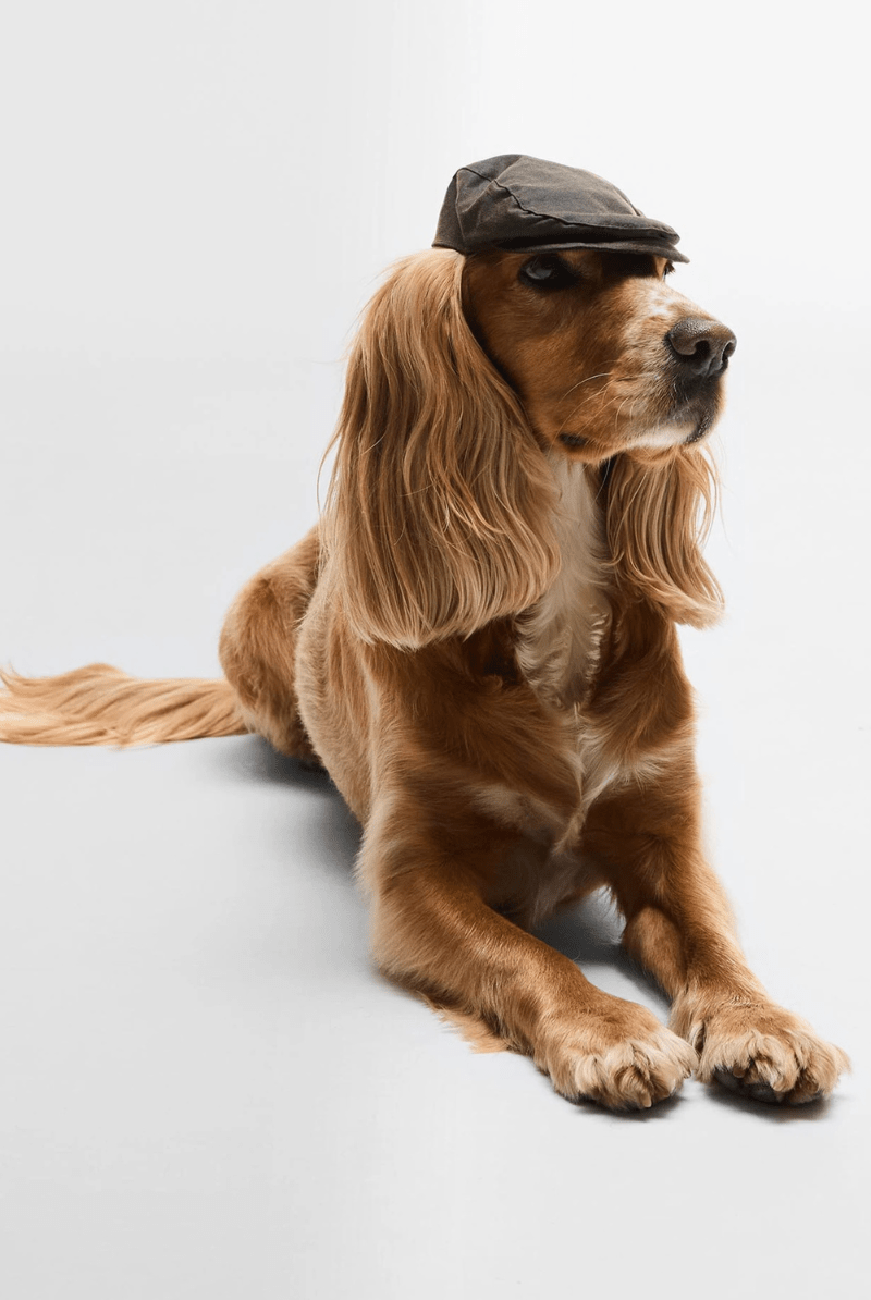Hats - Barbour - Dog Wax Flat Cap - Archery Close