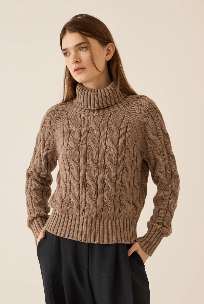 Sweater - DemyLee - Elsie Cotton Cashmere Turtleneck Sweater - Archery Close
