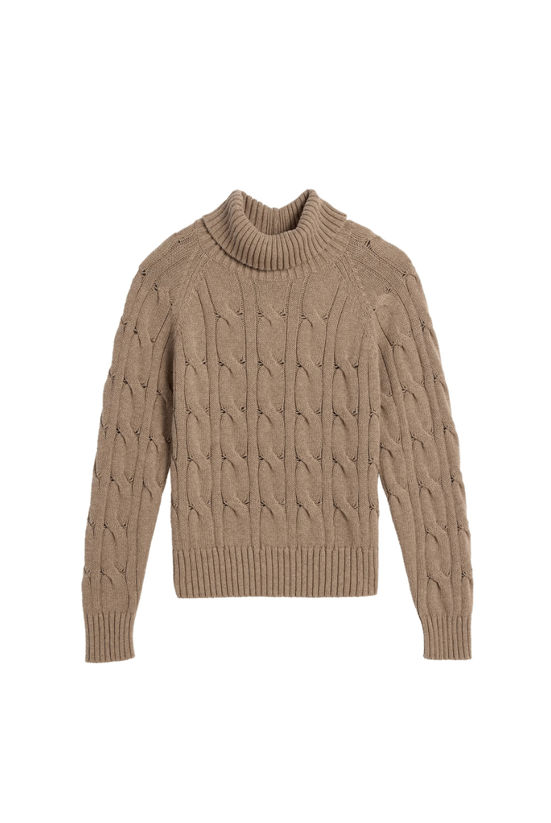 Sweater - DemyLee - Elsie Cotton Cashmere Turtleneck Sweater - Archery Close