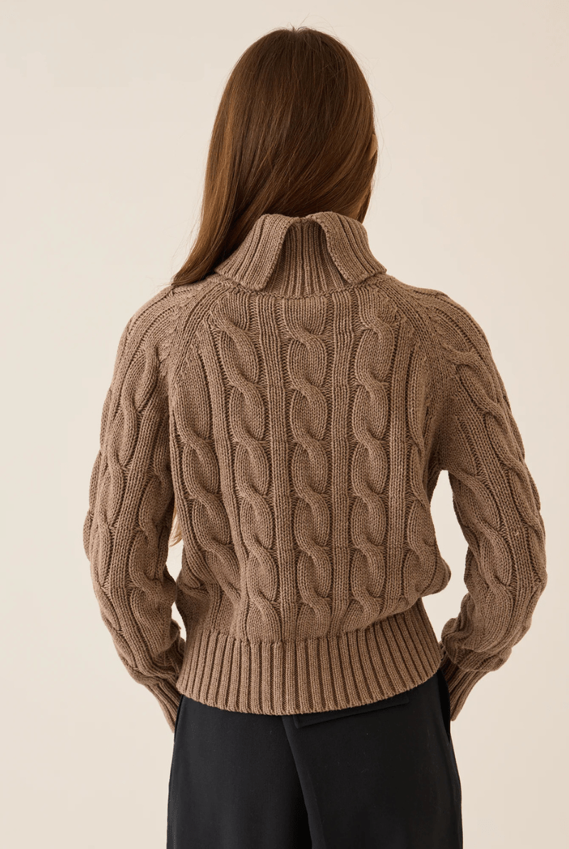 Sweater - DemyLee - Elsie Cotton Cashmere Turtleneck Sweater - Archery Close