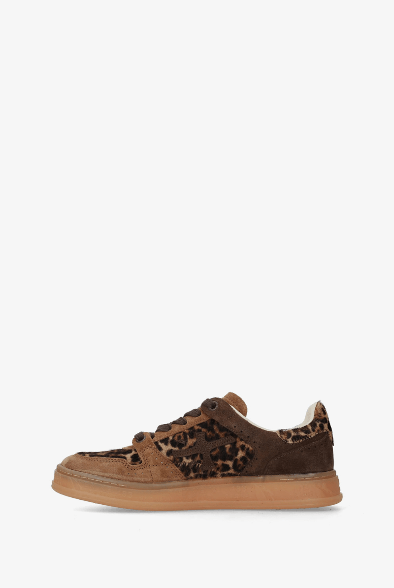Sneakers - Premiata - QuinnD Sneakers in 8643 - Archery Close
