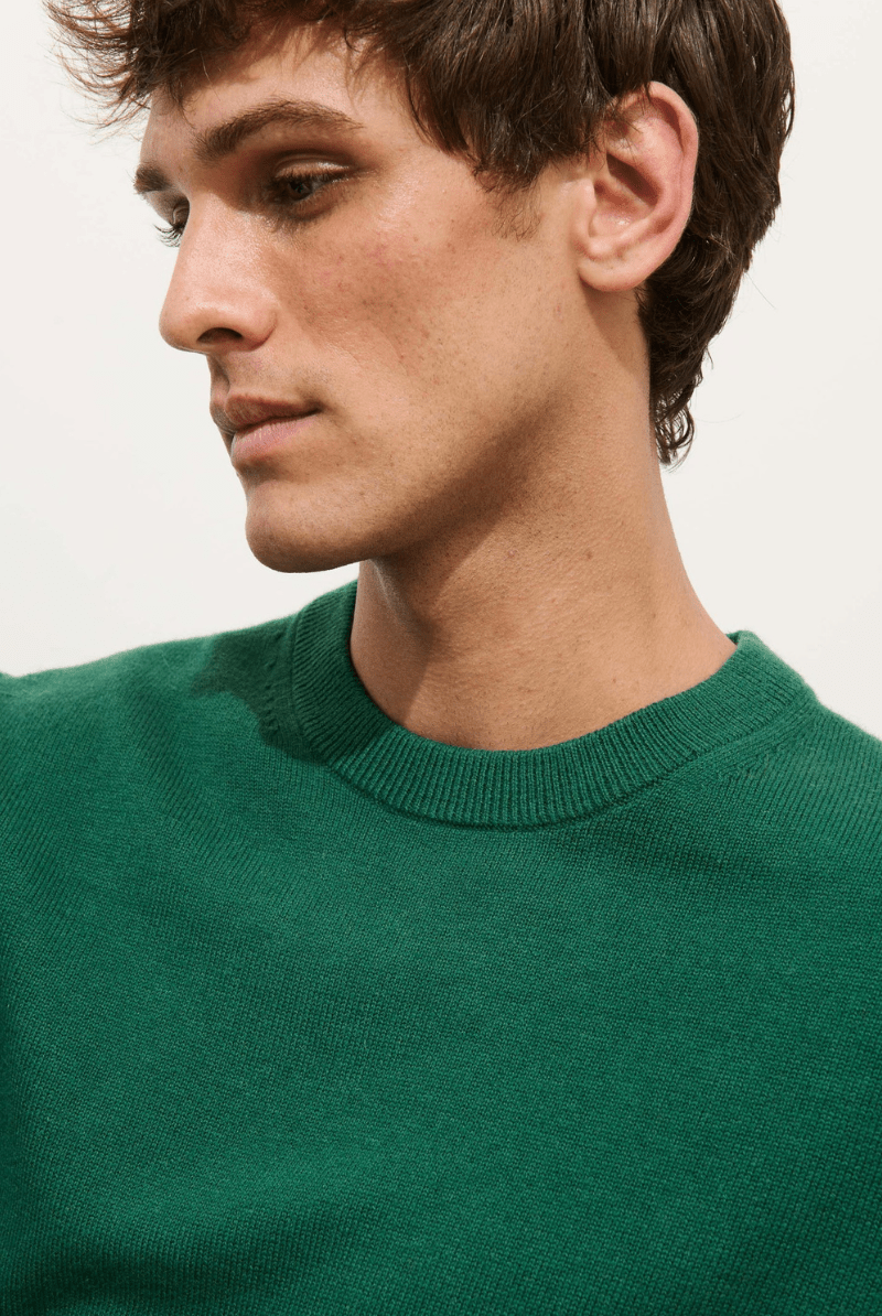 Sweater - Alex Mill - Reverse Seam Crew In Wool Cotton - Archery Close