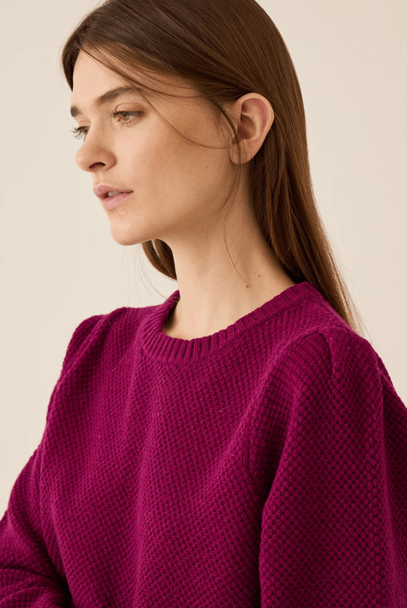 Sweater - DemyLee - Selly Seed Stitch Merino Wool in Radish - Archery Close