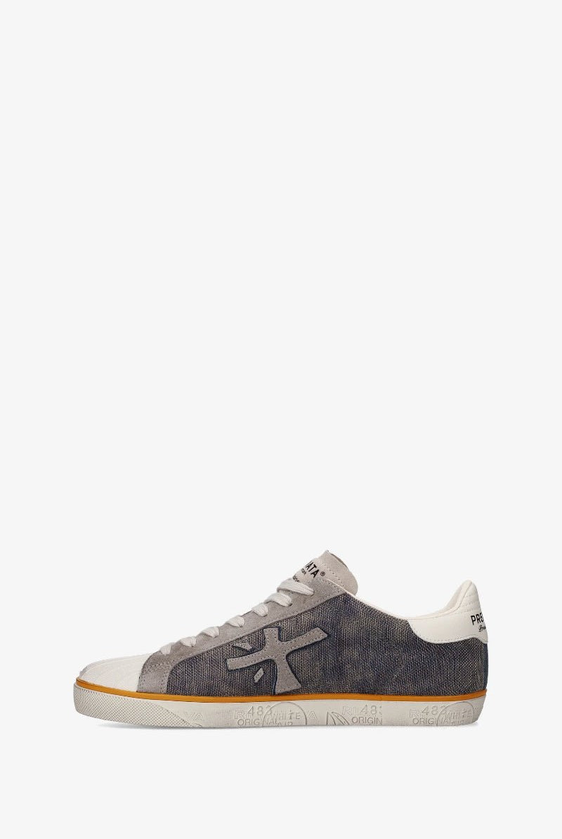Gray and white sneaker on a white background
