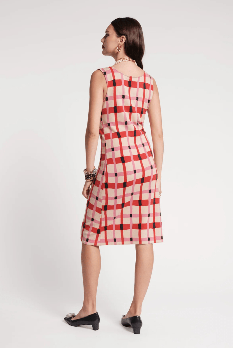 Dresses - Frances Valentine - Swan Shift Dress in Lollipop Lattice - Archery Close