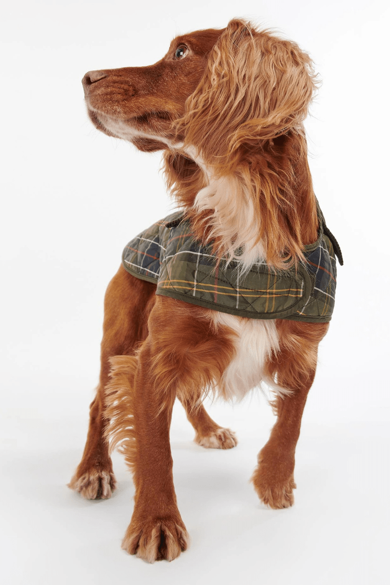 Shirts & Tops - Barbour - Tartan Dog Coat - Archery Close