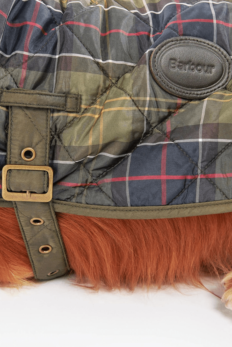 Shirts & Tops - Barbour - Tartan Dog Coat - Archery Close