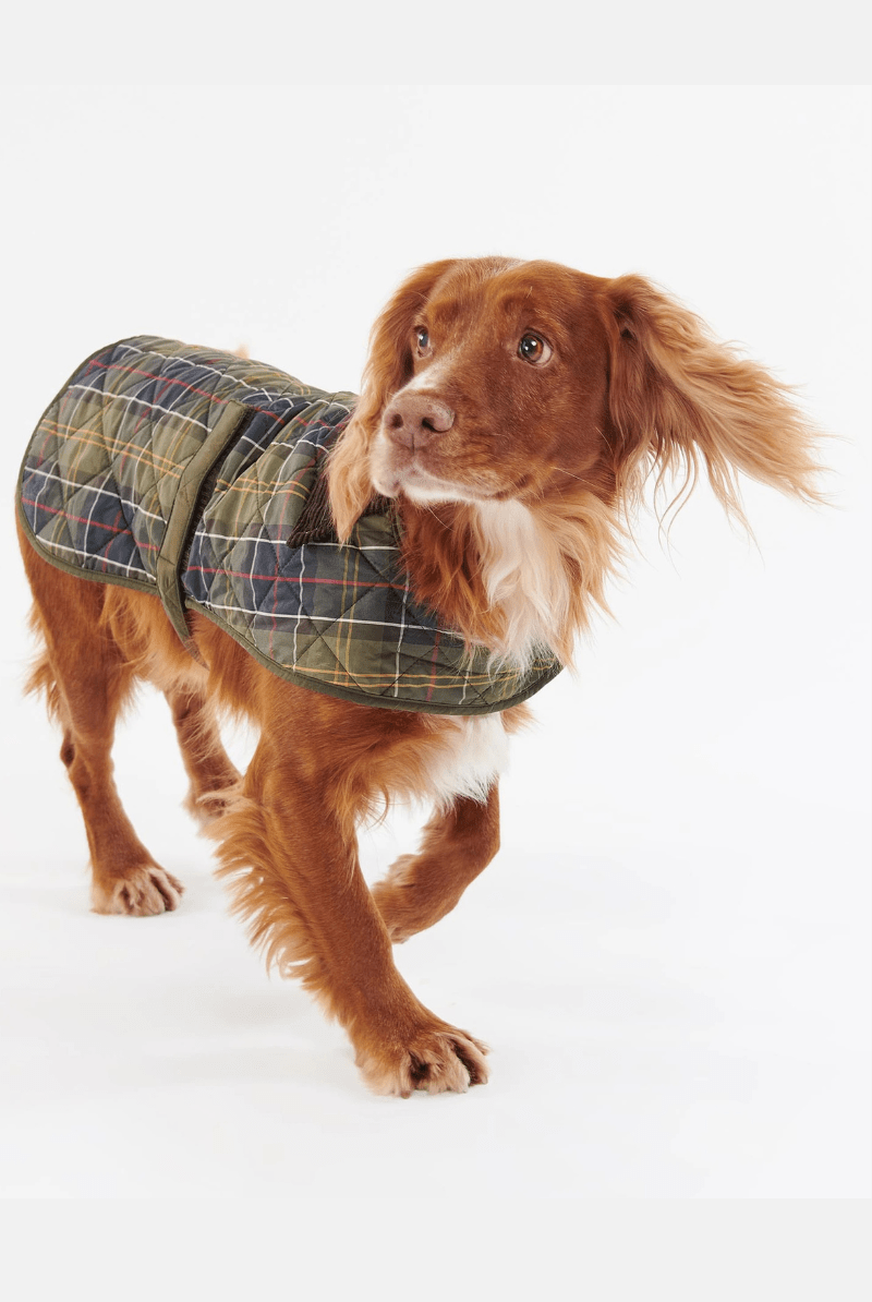 Shirts & Tops - Barbour - Tartan Dog Coat - Archery Close