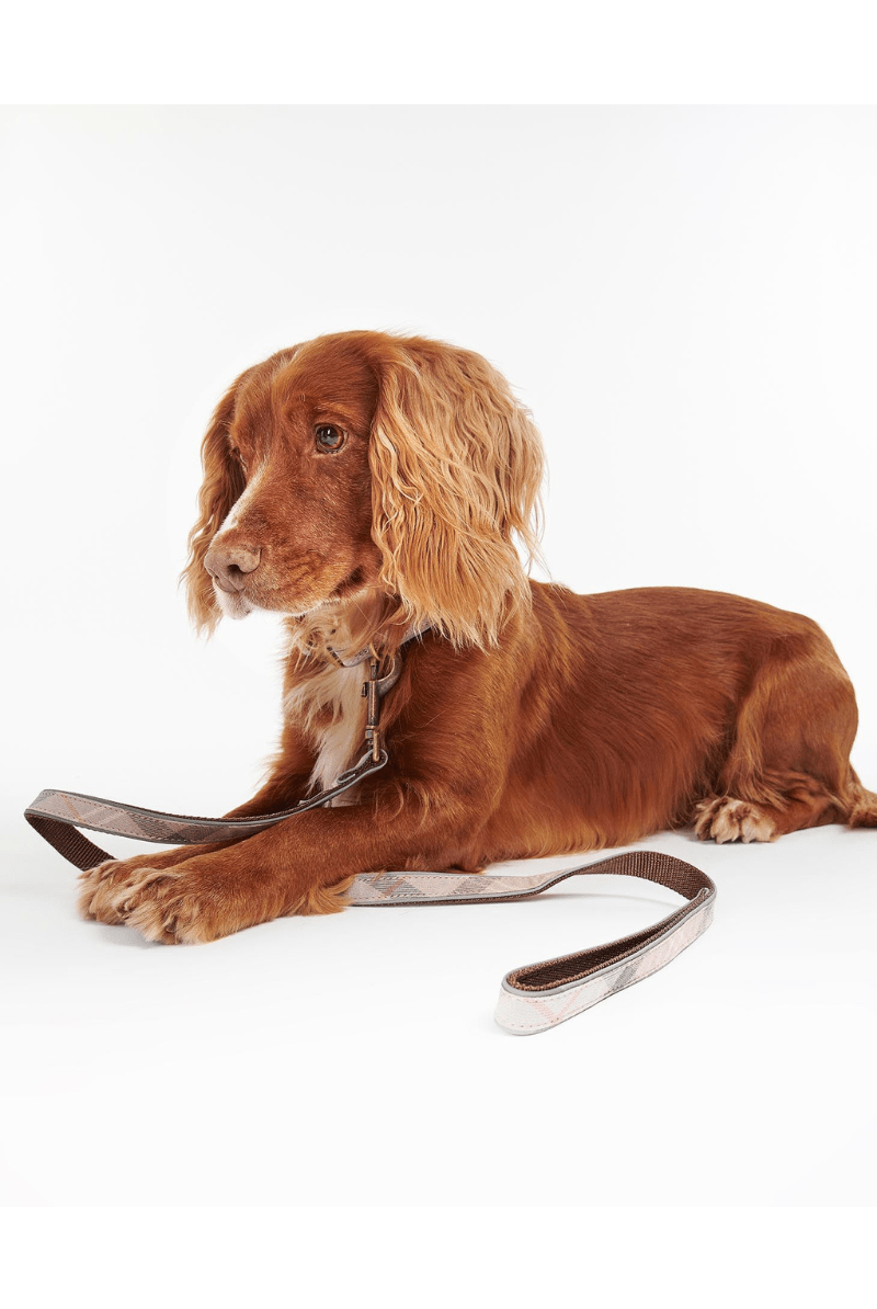 Reflective Tartan Dog Lead - Barbour - Archery Close