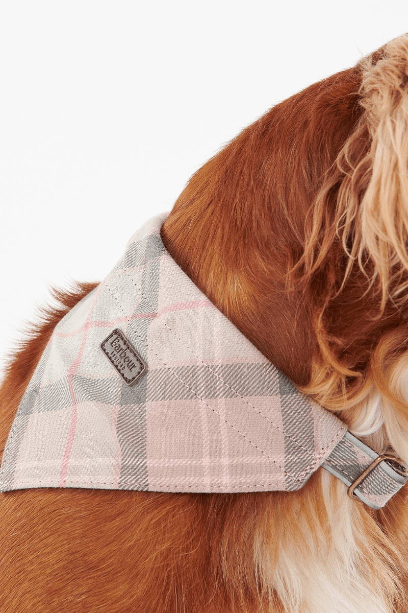 Tartan Dog Bandana - Barbour - Archery Close