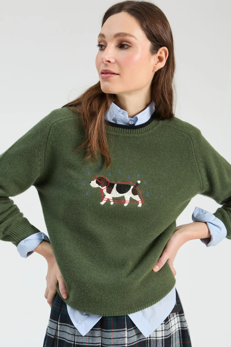 Raincoat Dog Sweater