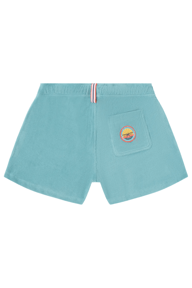 Shorts - Amundsen - 4incher Hightide Shorts - Archery Close
