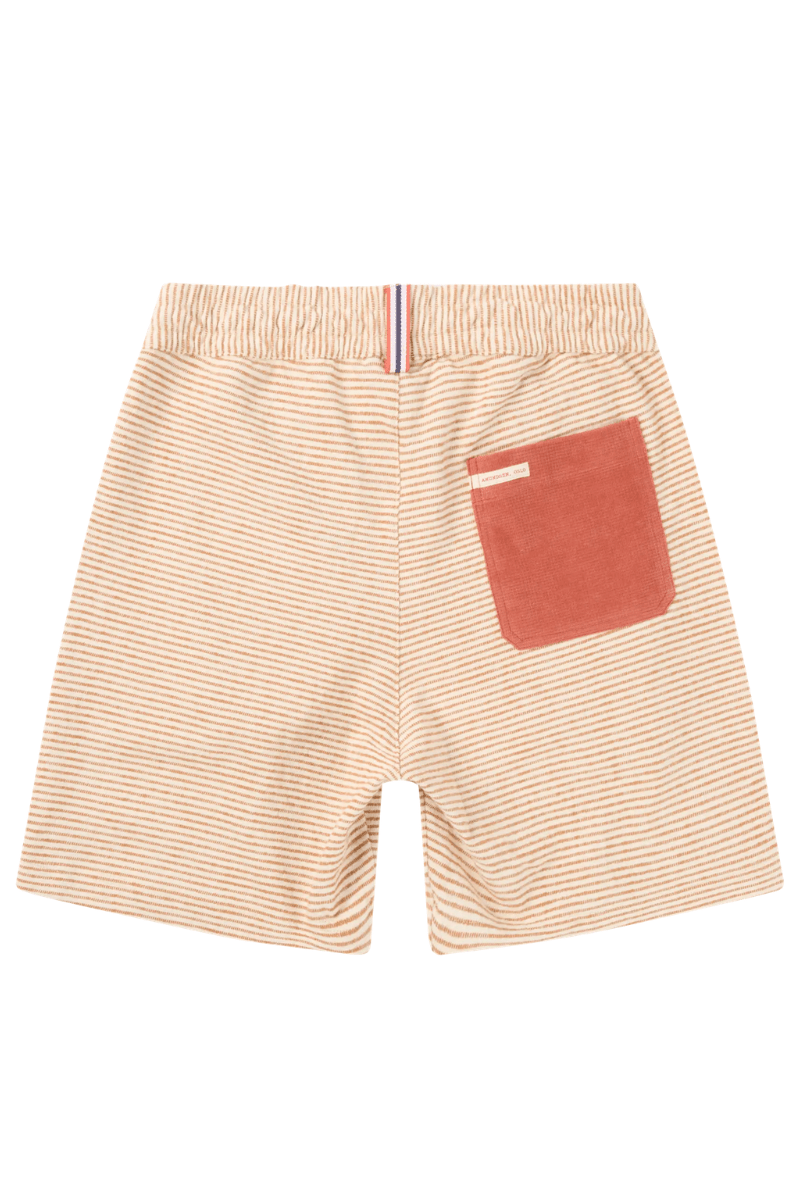 Shorts - Amundsen - 6Incher Chukka Shorts - Archery Close