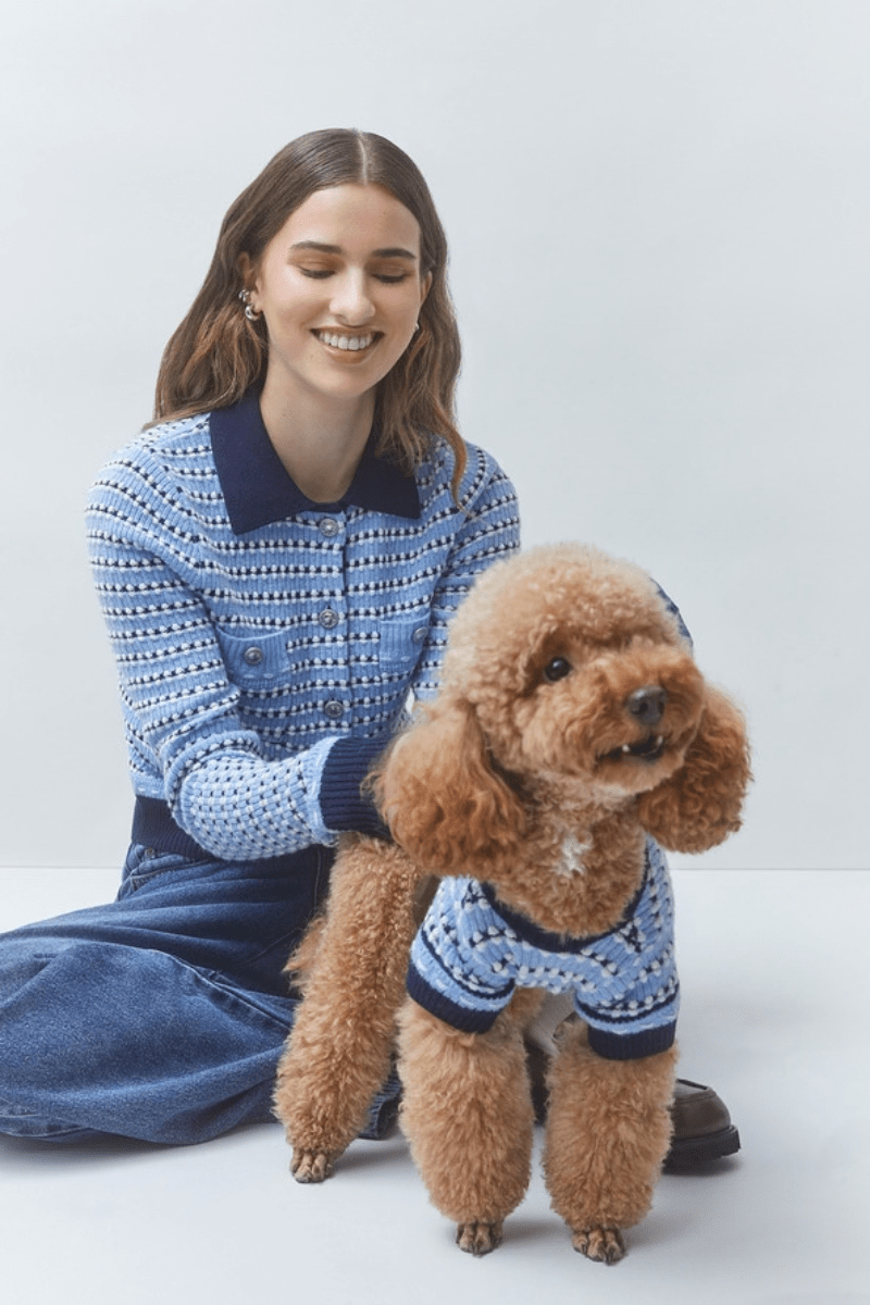 Dog - Suncoo Paris - Arty Dog Jumper - Archery Close