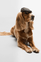 Hats - Barbour - Dog Wax Flat Cap - Archery Close