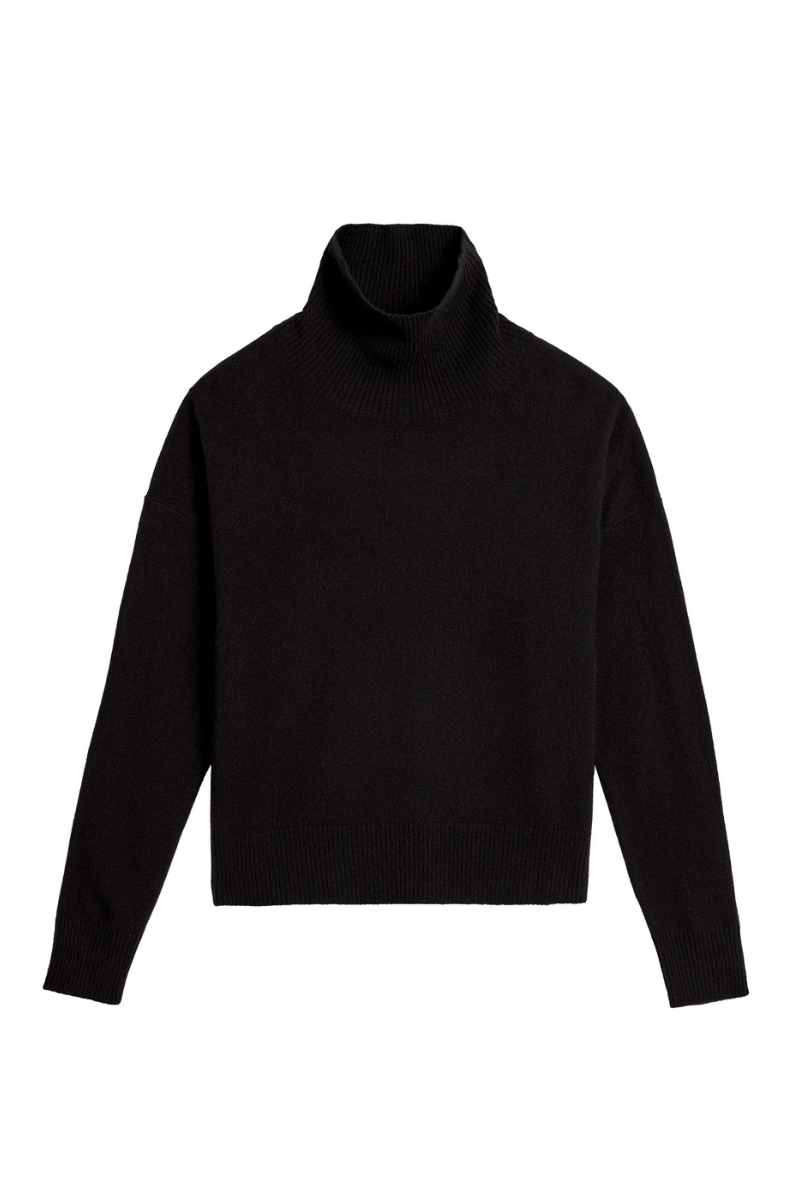 Sweater - DemyLee - Gianna Cashmere Turtleneck in Black - Archery Close