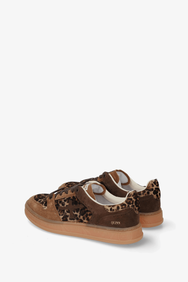 Sneakers - Premiata - QuinnD Sneakers in 8643 - Archery Close