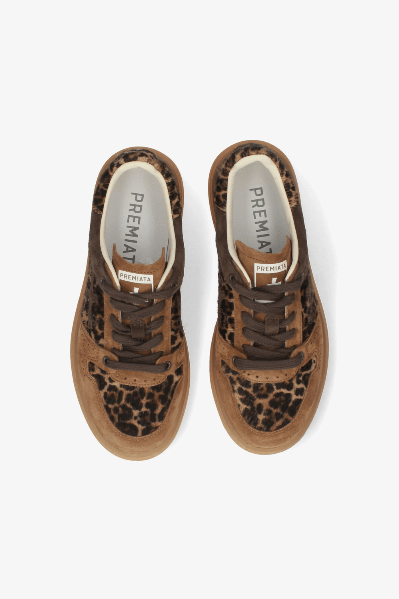 Sneakers - Premiata - QuinnD Sneakers in 8643 - Archery Close