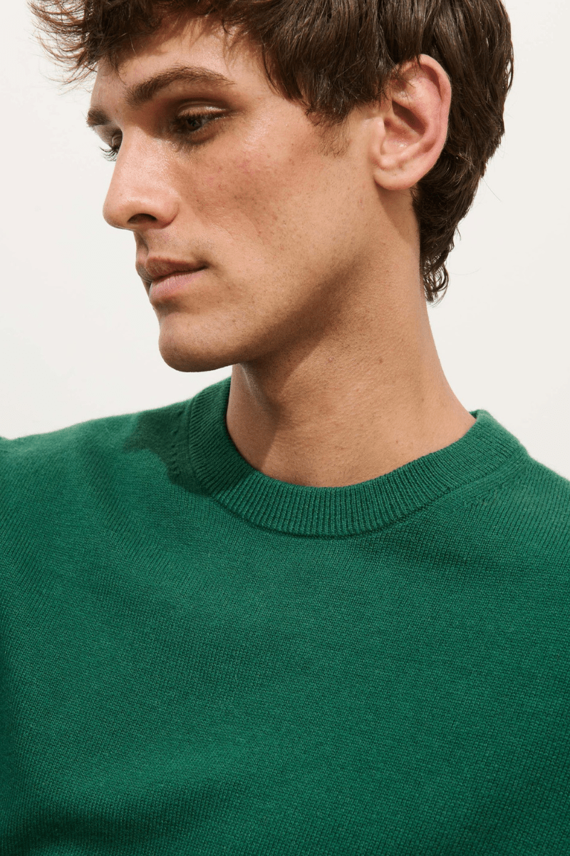 Sweater - Alex Mill - Reverse Seam Crew In Wool Cotton - Archery Close