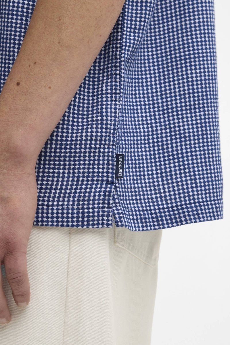 Close-up of a person wearing a blue and white checkered shirt with a brand logo on a white background