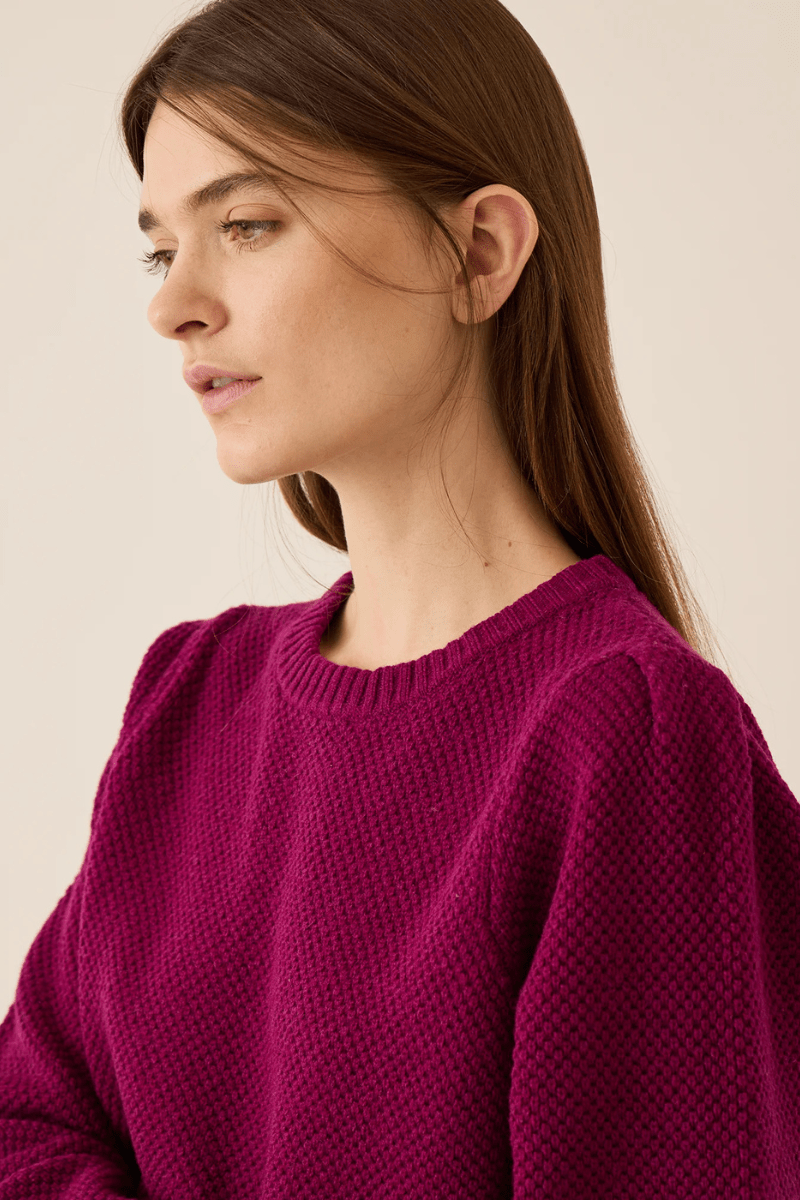 Sweater - DemyLee - Selly Seed Stitch Merino Wool in Radish - Archery Close
