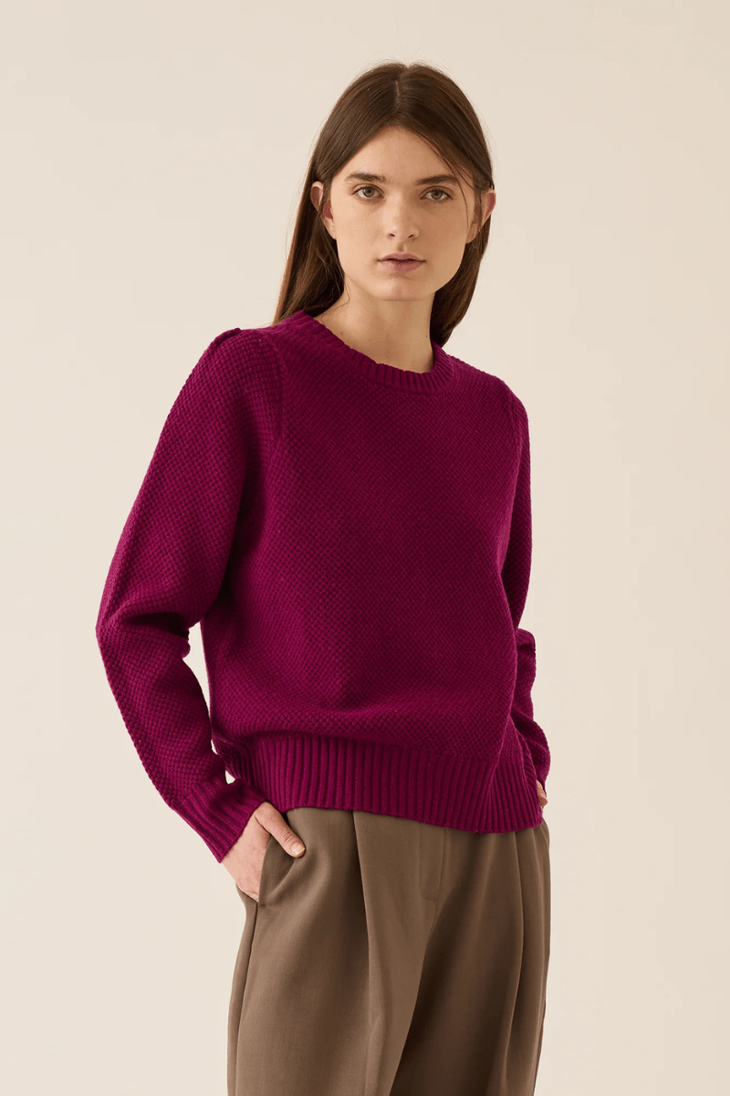 Sweater - DemyLee - Selly Seed Stitch Merino Wool in Radish - Archery Close