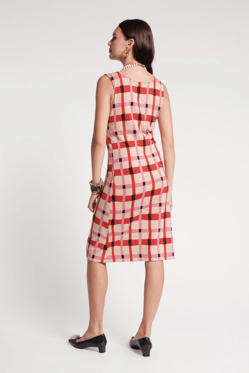 Dresses - Frances Valentine - Swan Shift Dress in Lollipop Lattice - Archery Close