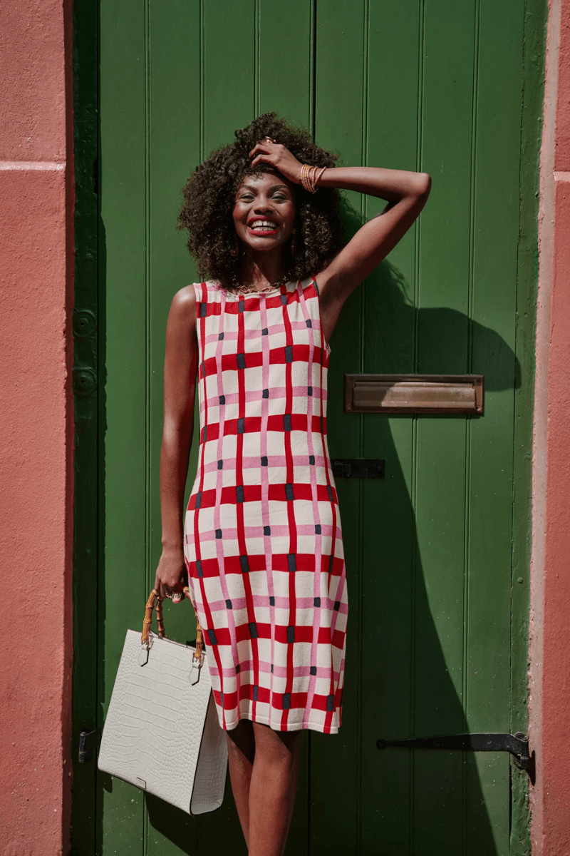 Dresses - Frances Valentine - Swan Shift Dress in Lollipop Lattice - Archery Close