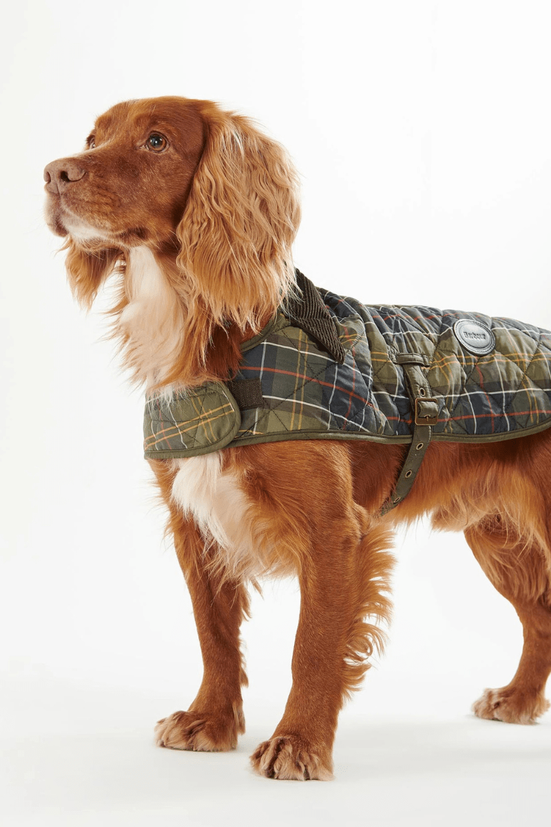 Shirts & Tops - Barbour - Tartan Dog Coat - Archery Close