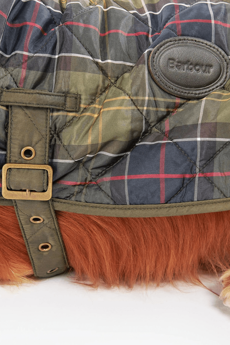 Shirts & Tops - Barbour - Tartan Dog Coat - Archery Close