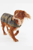 Shirts & Tops - Barbour - Tartan Dog Coat - Archery Close