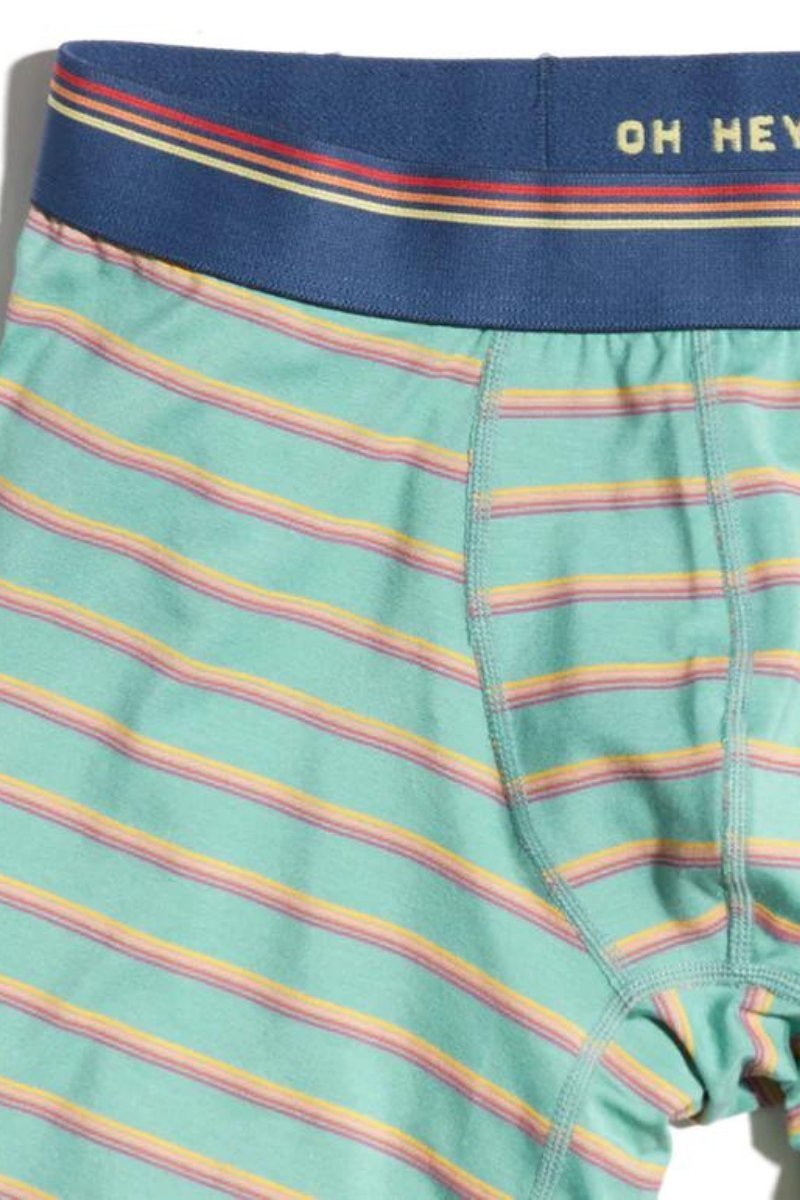 Best Boxer Briefs Ever - Marine Layer - Archery Close