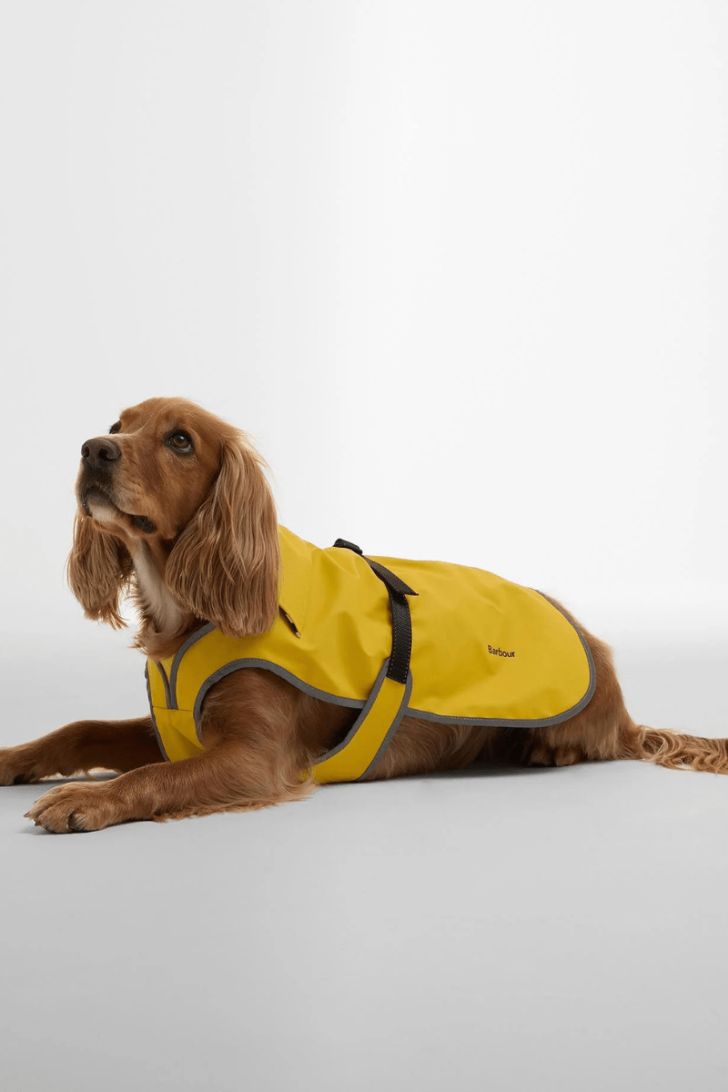 Evie Waterproof Dog Coat - Barbour - Archery Close