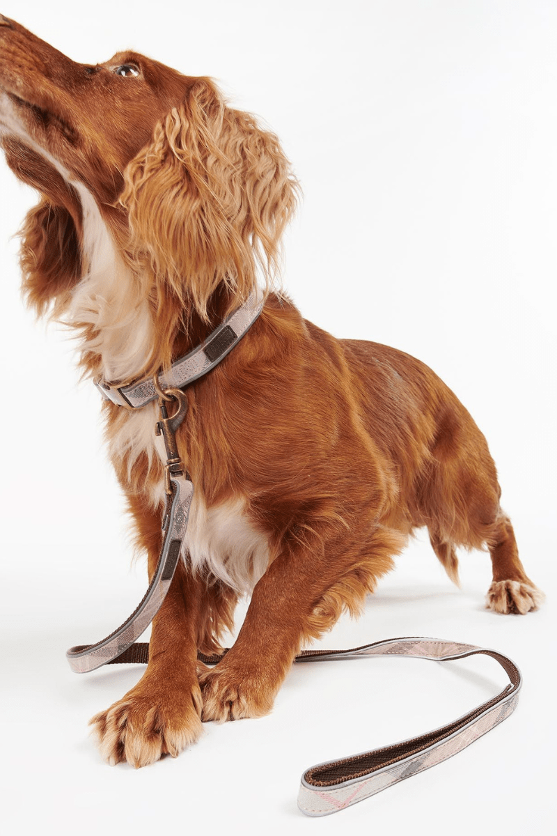 Reflective Tartan Dog Lead - Barbour - Archery Close
